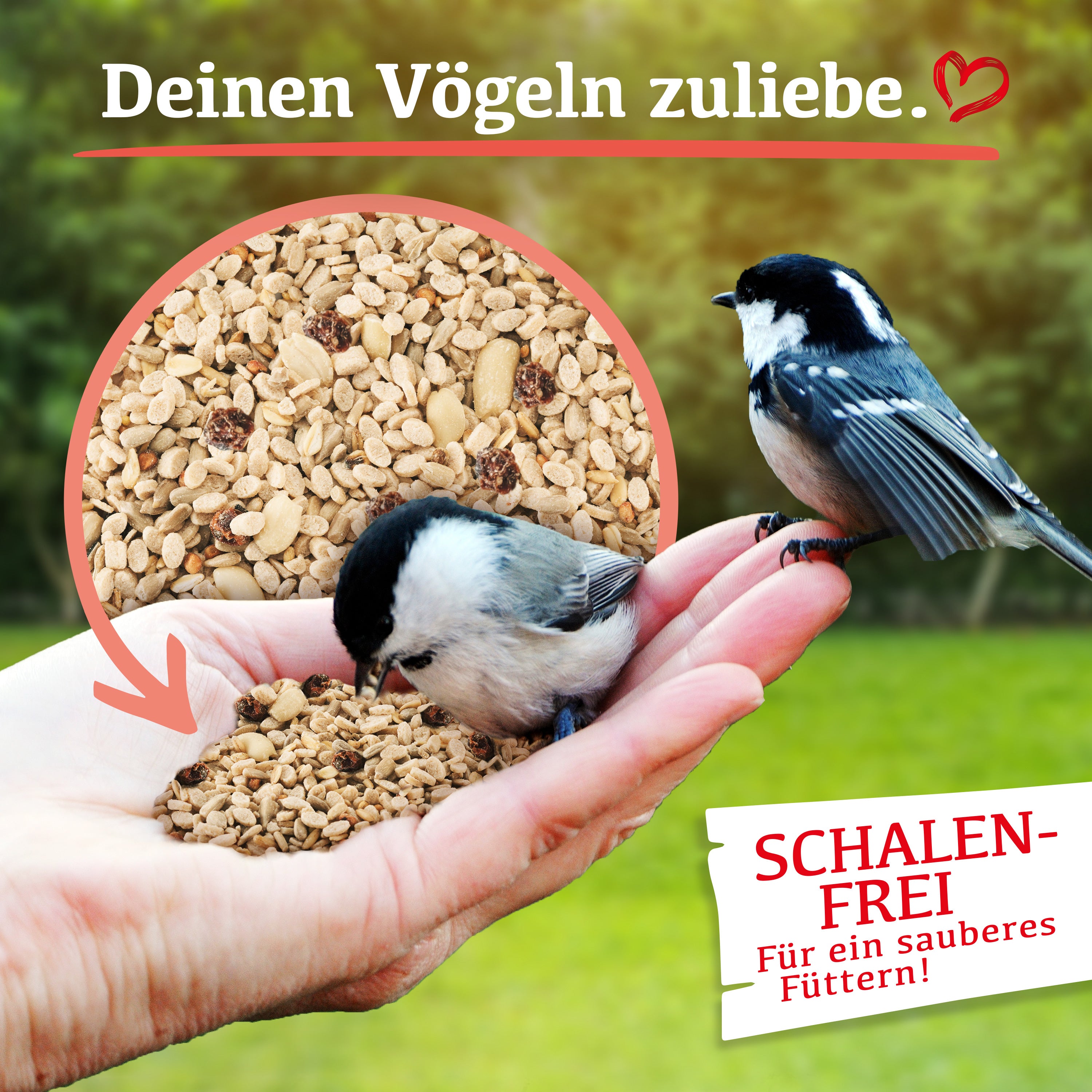 Delicia Energie Futter Mix, Ganzjahres Vogelfutter, Streufutter, Wildvogelfutter, mit Erdnusskernen, Beeren, Sonnenblumenkerne