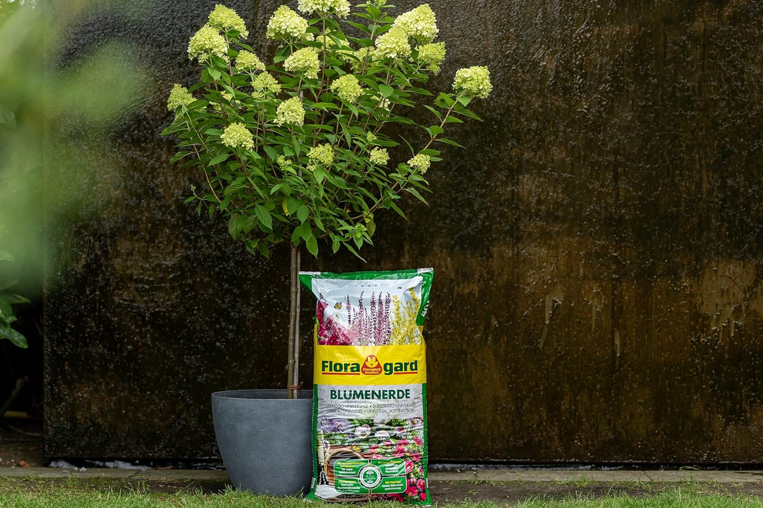 1 x 70L Floragard Blumenerde, Universalerde mit Ton und Langzeitdünger, Topferde, Gartenerde, Erde